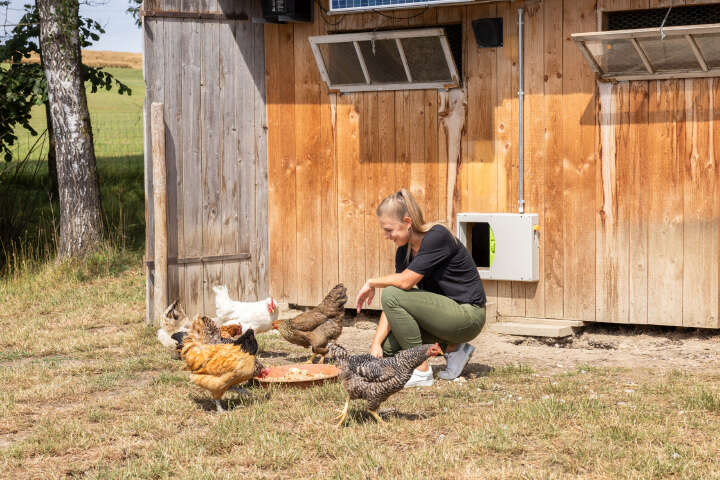 KERBL SmartCoop Hühnertür